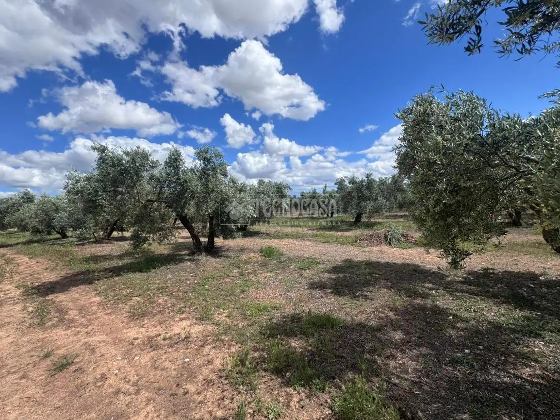 Terrenys i solars en venda a Albolote, imagen 6