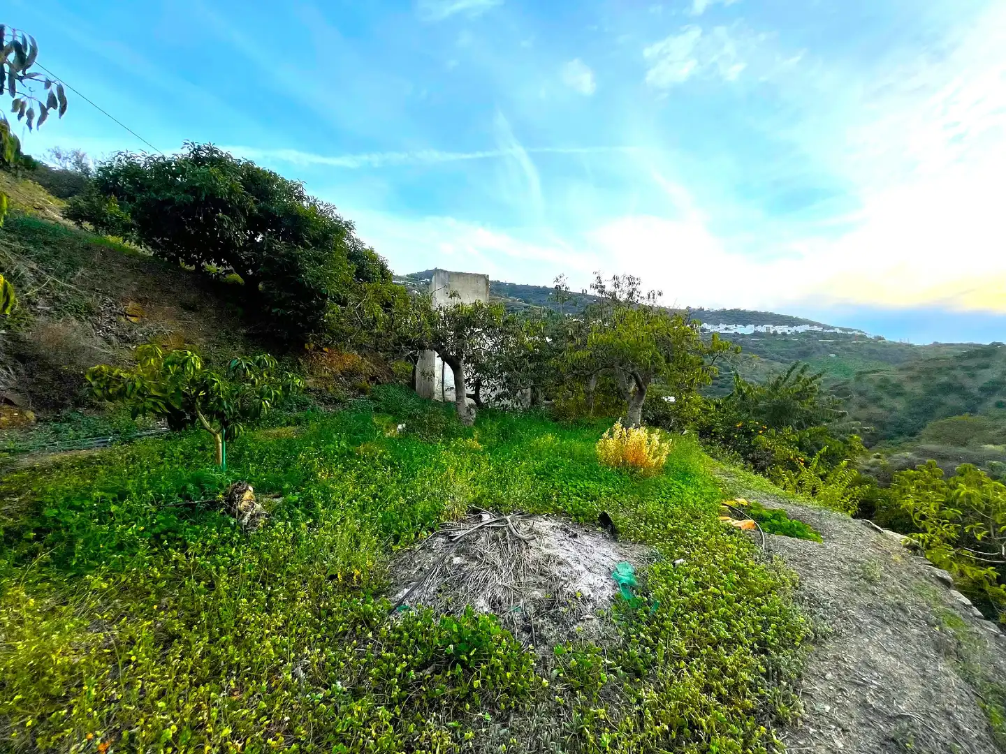 Casa rústica en venta en Sayalonga, imagen 7