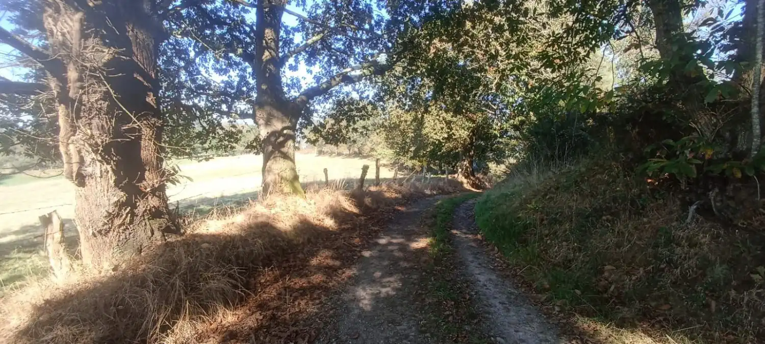 Vista exterior de Finca rústica en venta en Nava