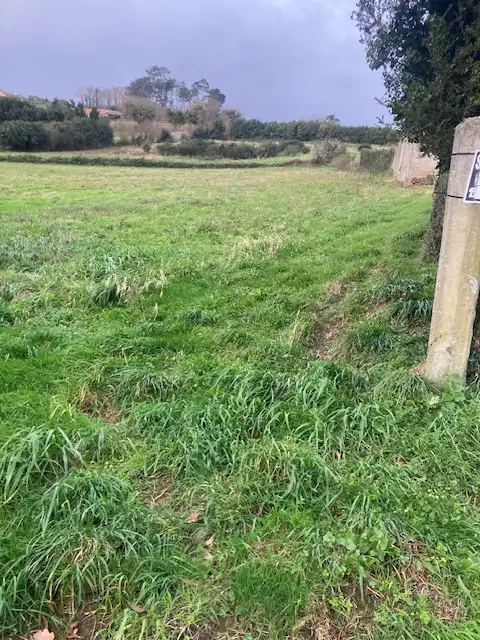 Residential land for sale in Campa San Roque 3, imagen 5