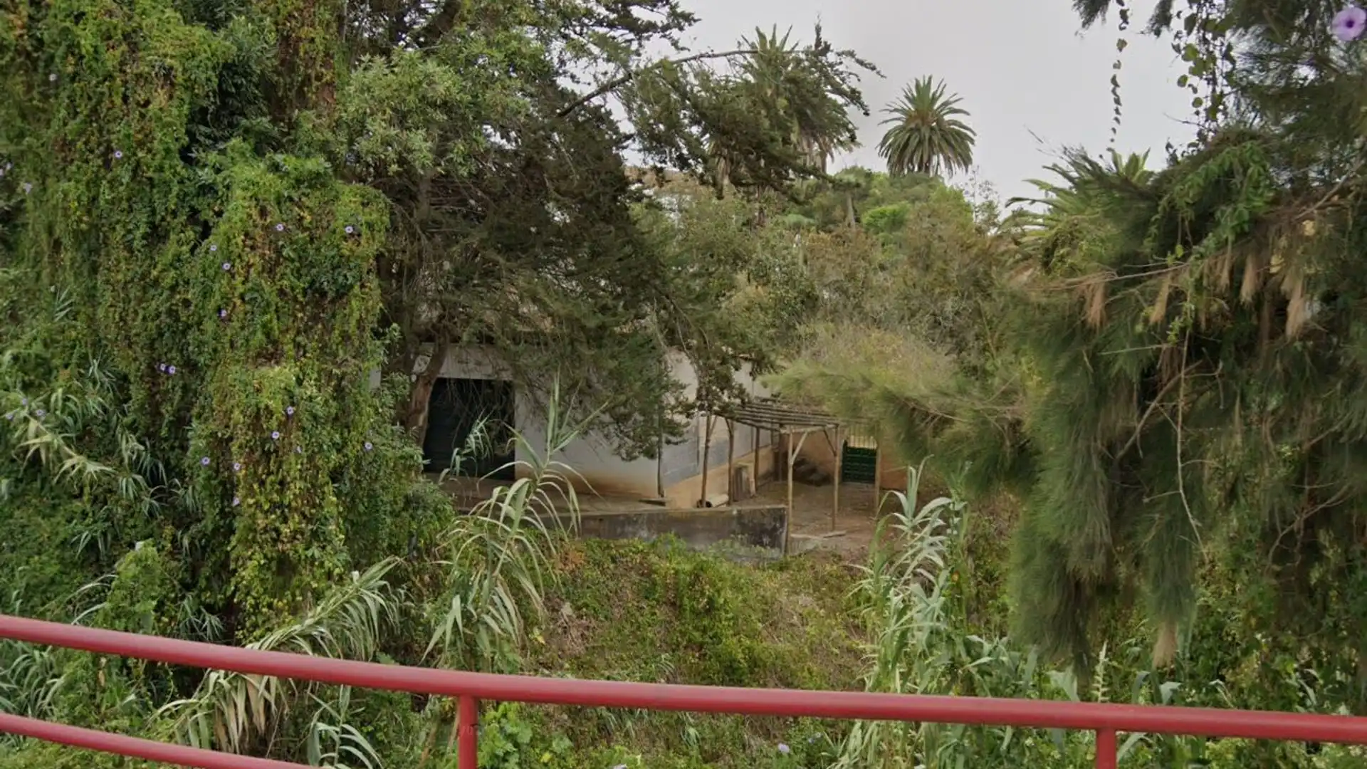 Local en venta en Ctra Tacoronte-Tejina, Tacoronte - Los Naranjeros