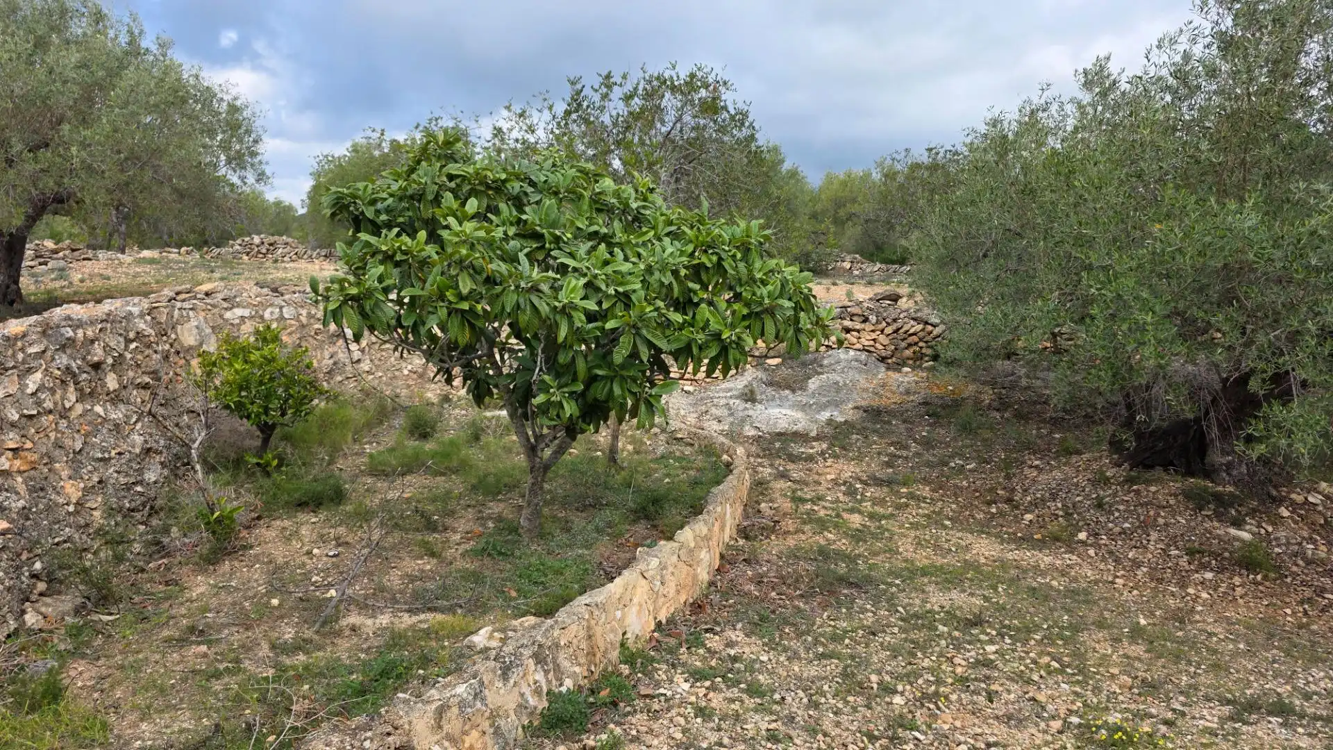 Maison rustique avec jardin à vendre à L'Ametlla de Mar pueblo, imagen 12