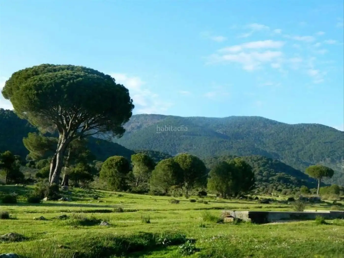 Xalet amb jardí en venda a Urbanización las Chajurdas 19, imagen 5