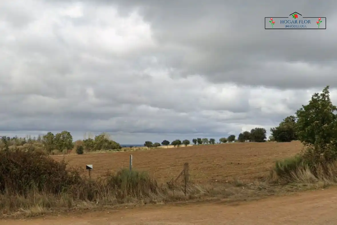 Finca rústica en venta en San Martín del Castañar