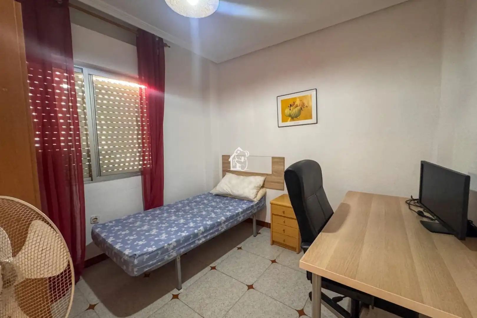 Apartments for rent in Zona Playa de los Locos