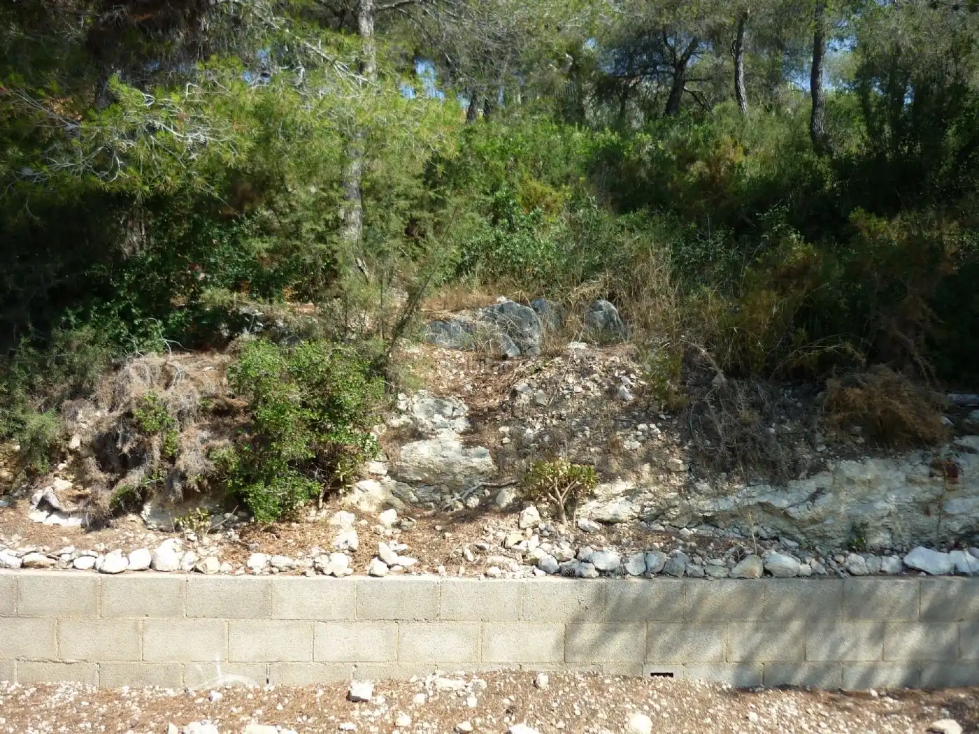 Terreno residencial en venta en Carrer Farigola 4, imagen 24