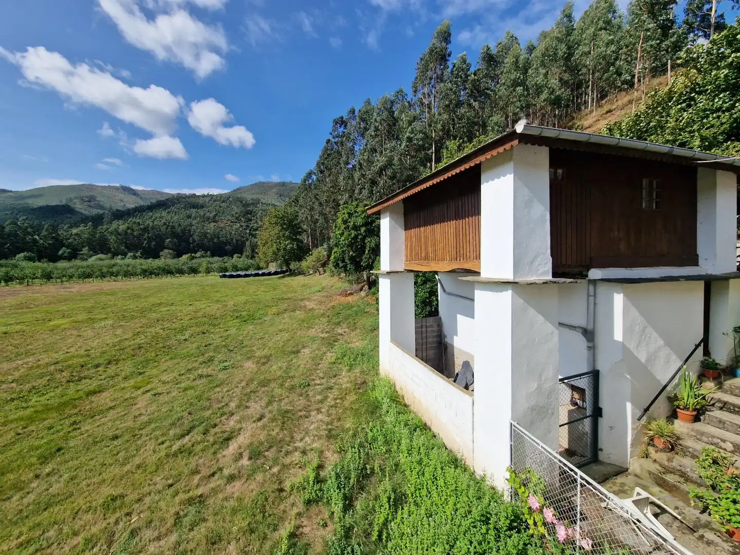 Vista exterior de Casa o xalet en venda en San Tirso de Abres amb Calefacció, Jardí privat i Traster
