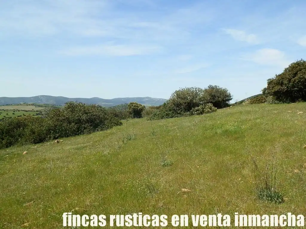 Rural land for sale in Calzada de Calatrava, imagen 26