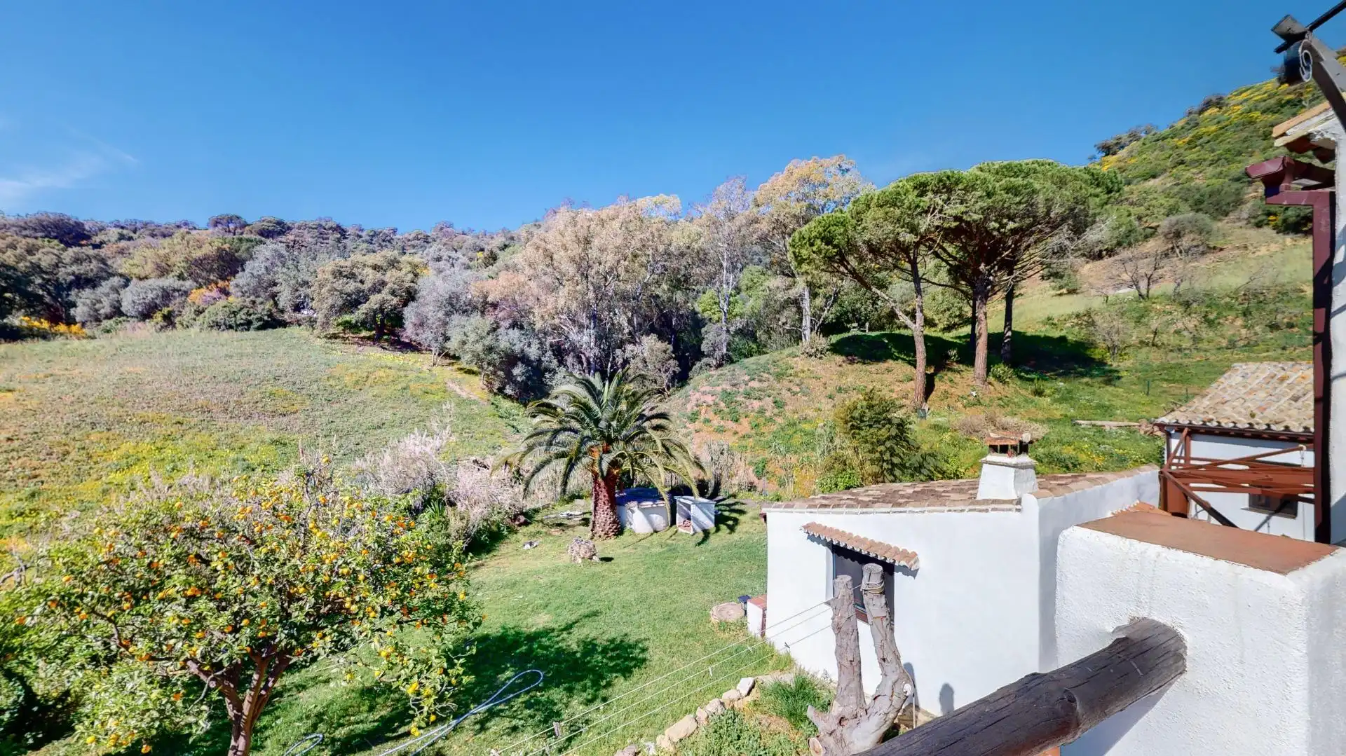 Jardí de Finca rústica en venda en Casares amb Calefacció, Jardí privat i Terrassa