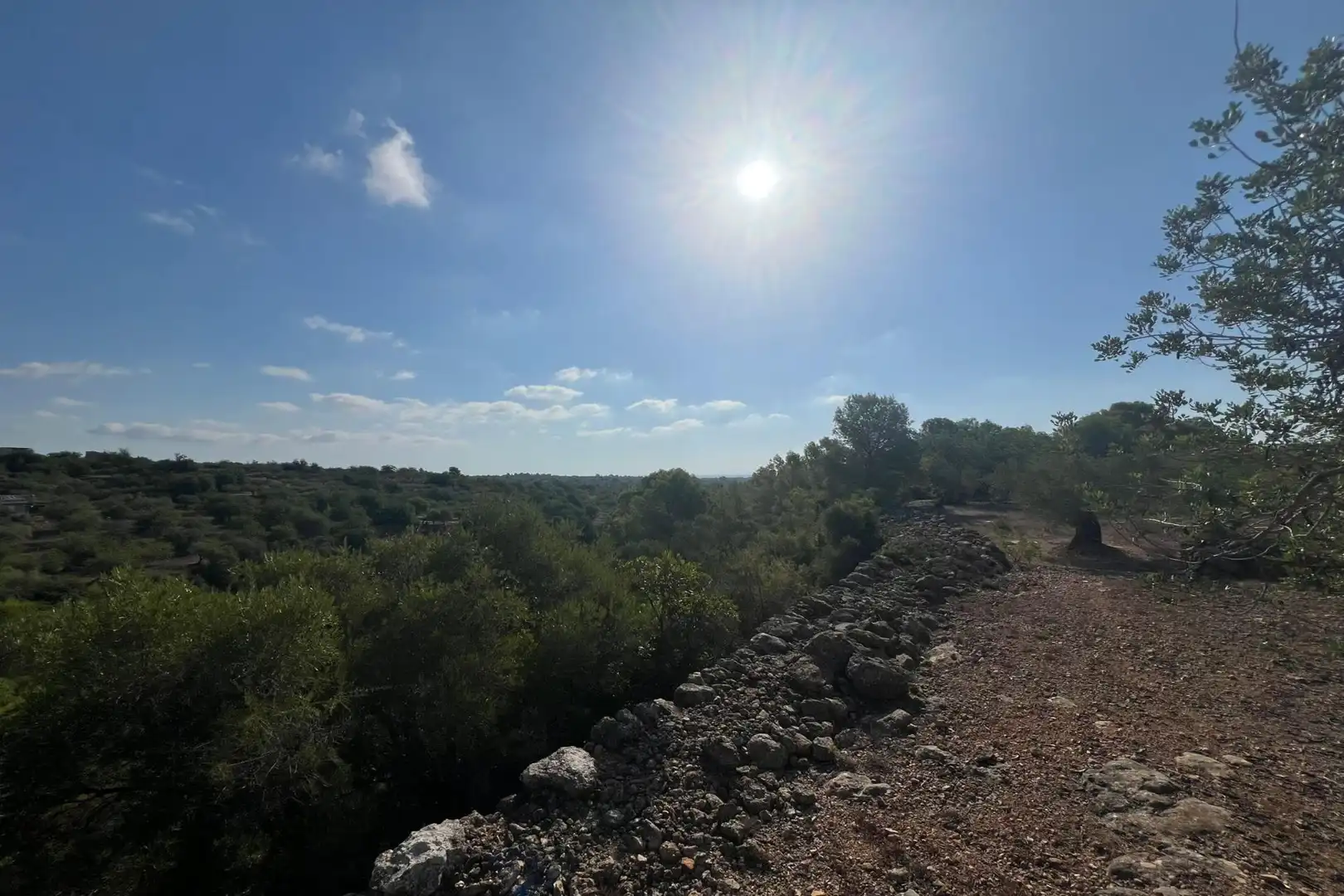 Finca rústica en venta en Tortosa