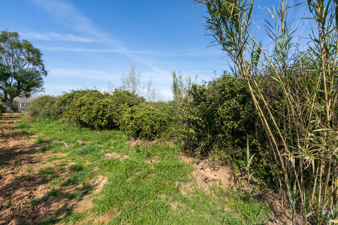 Rural land for sale in Vinallop, imagen 10
