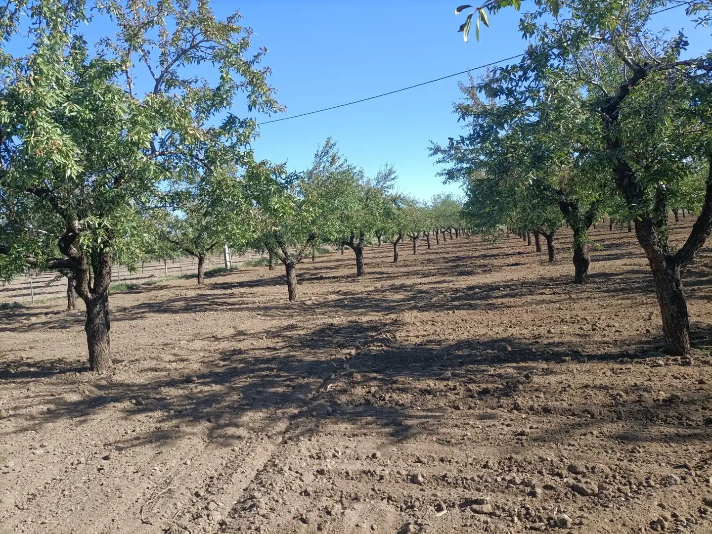 Terreno rustico in vendita a Nambroca, imagen 11