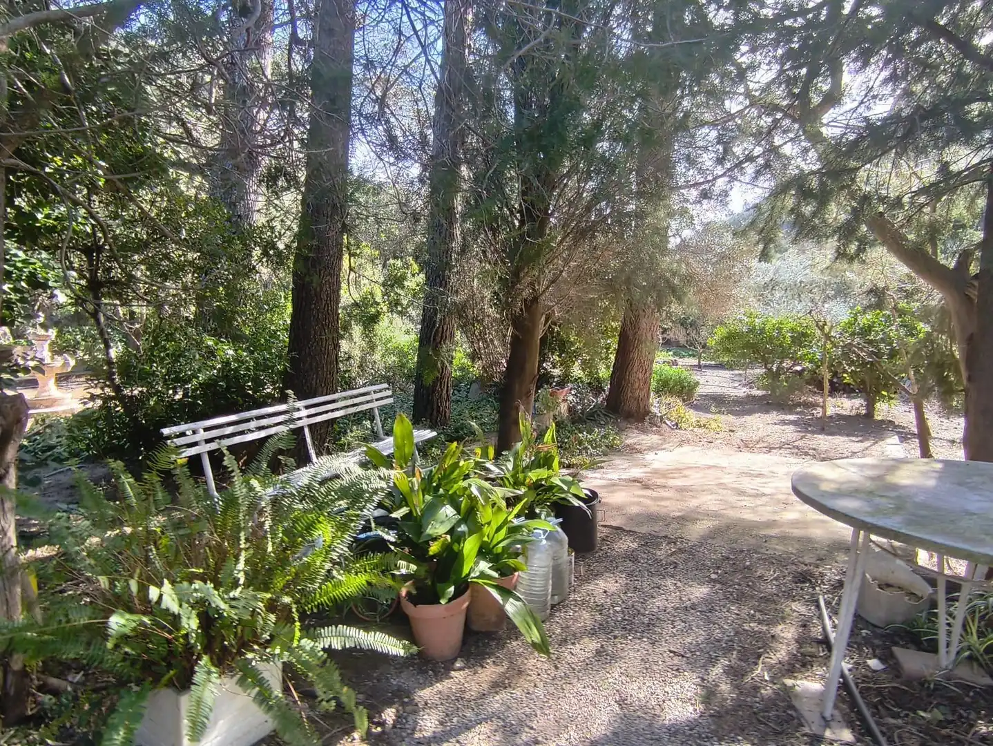 Casa con jardín en venta en Alfara de Carles, imagen 6