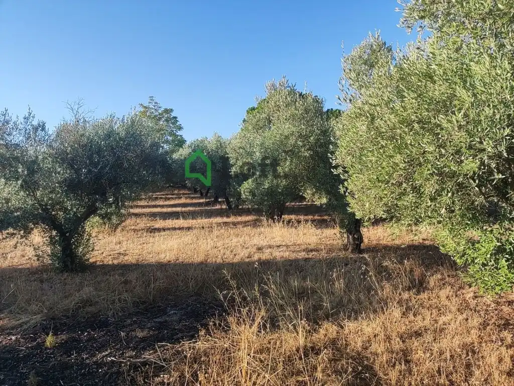 Terreno rustico in vendita a Pedanías de Badajoz, imagen 7