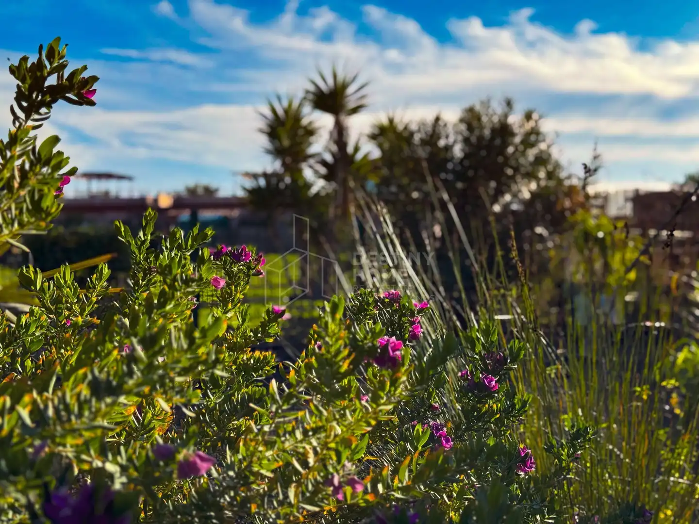 Jardí de Casa adosada en venda en La Oliva amb Aire condicionat, Jardí privat i Terrassa