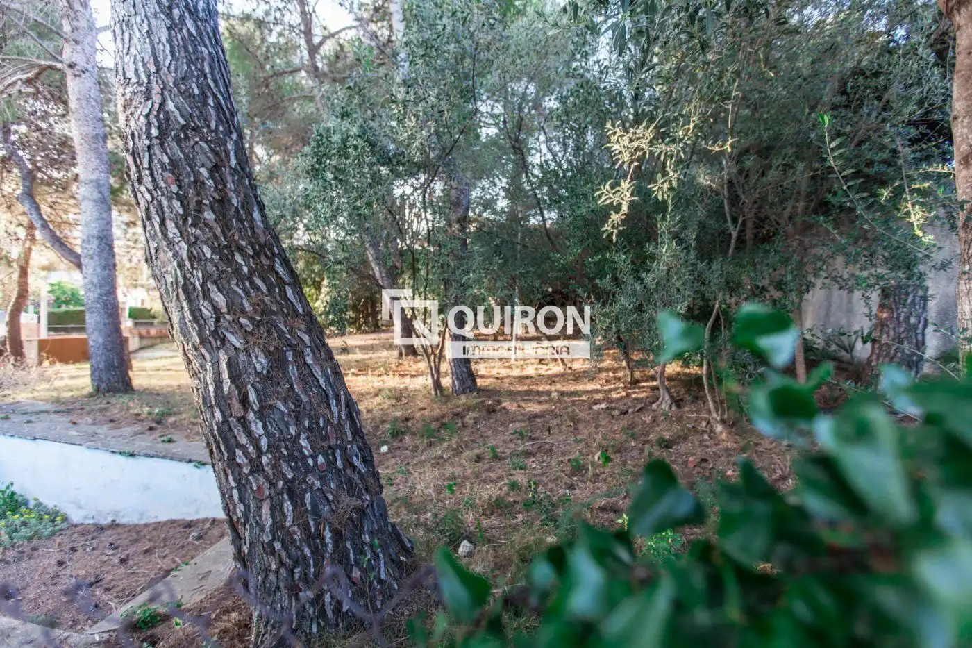 Terreno rustico in vendita a Segur de Calafell, imagen 9