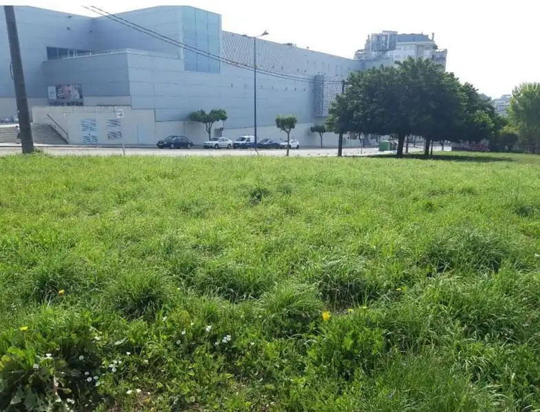Terreni e lotti in vendita a ORQUÍDEA, POLÍGONO 20, imagen 11