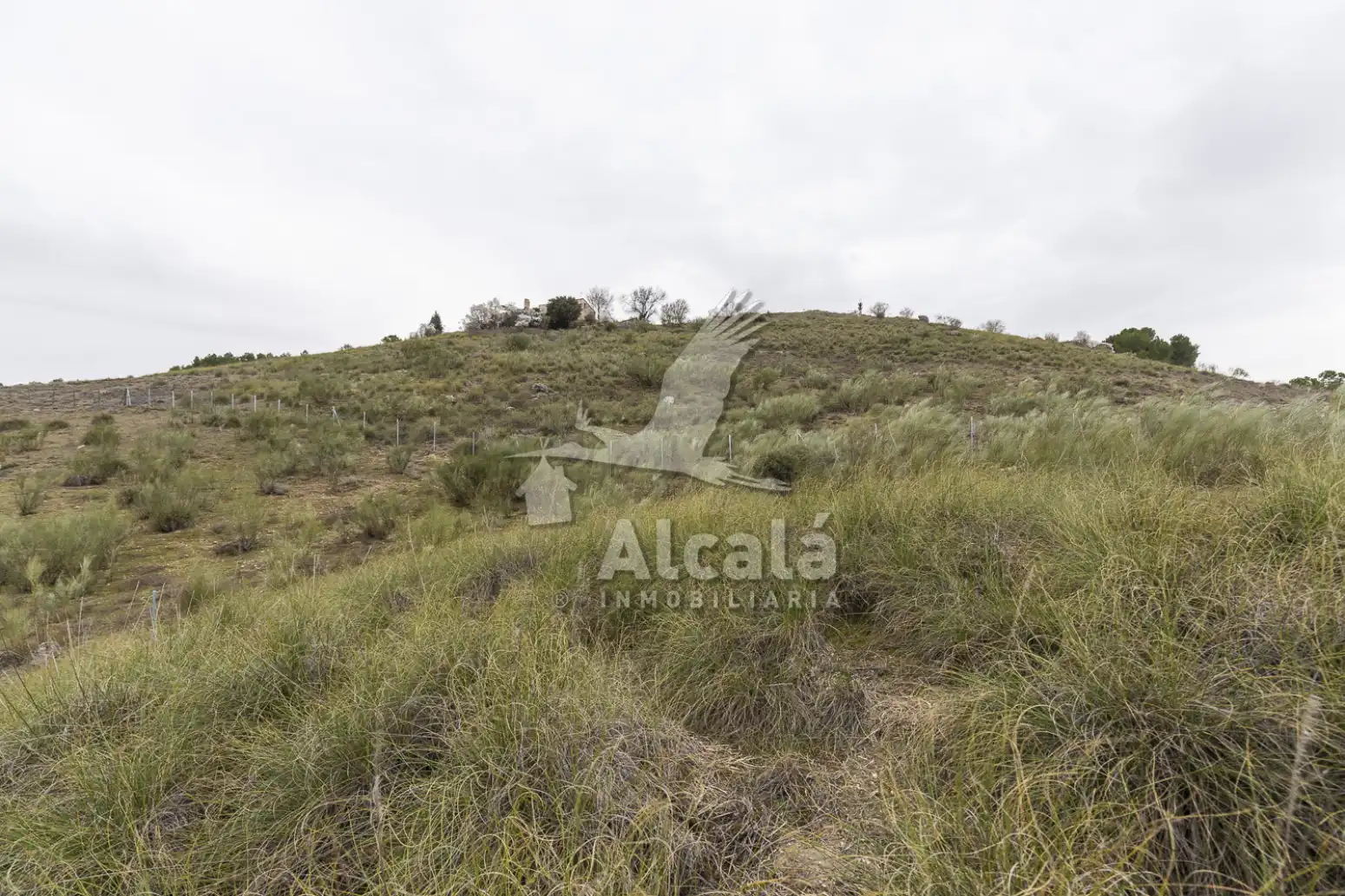 Terreny residencial en venda a Illana, imagen 28