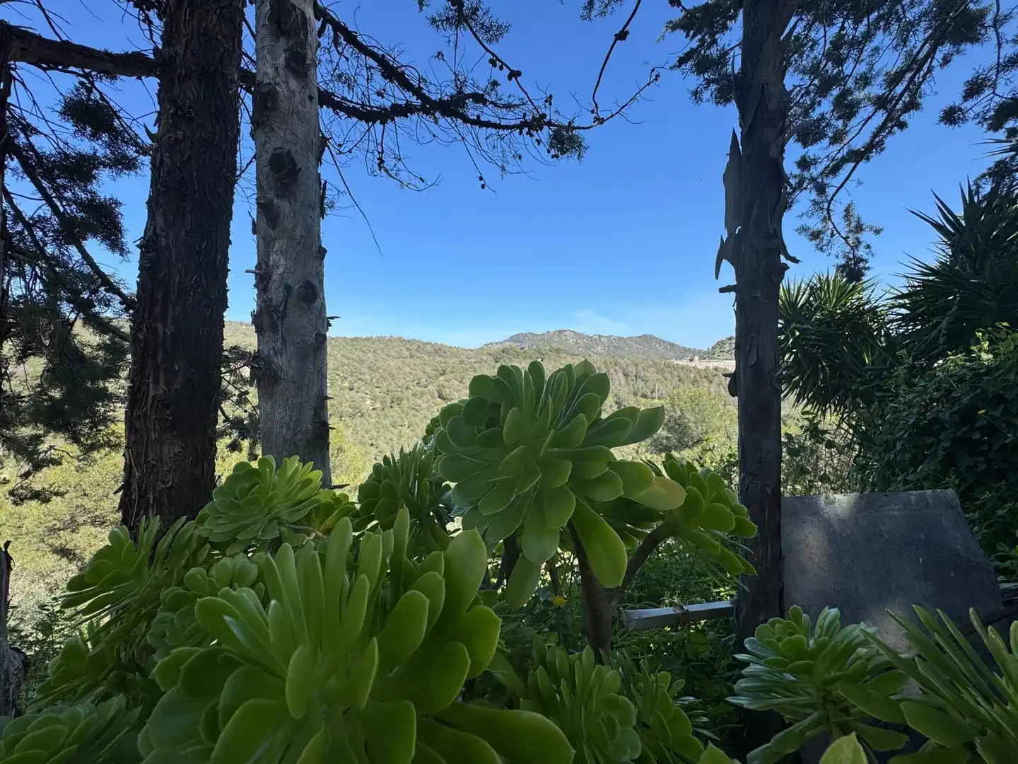 Jardín de Casa o chalet en venta en Ardales con Jardín privado y Terraza
