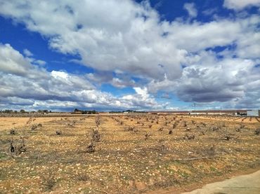 Terreni e lotti in vendita a Quintanar de la Orden