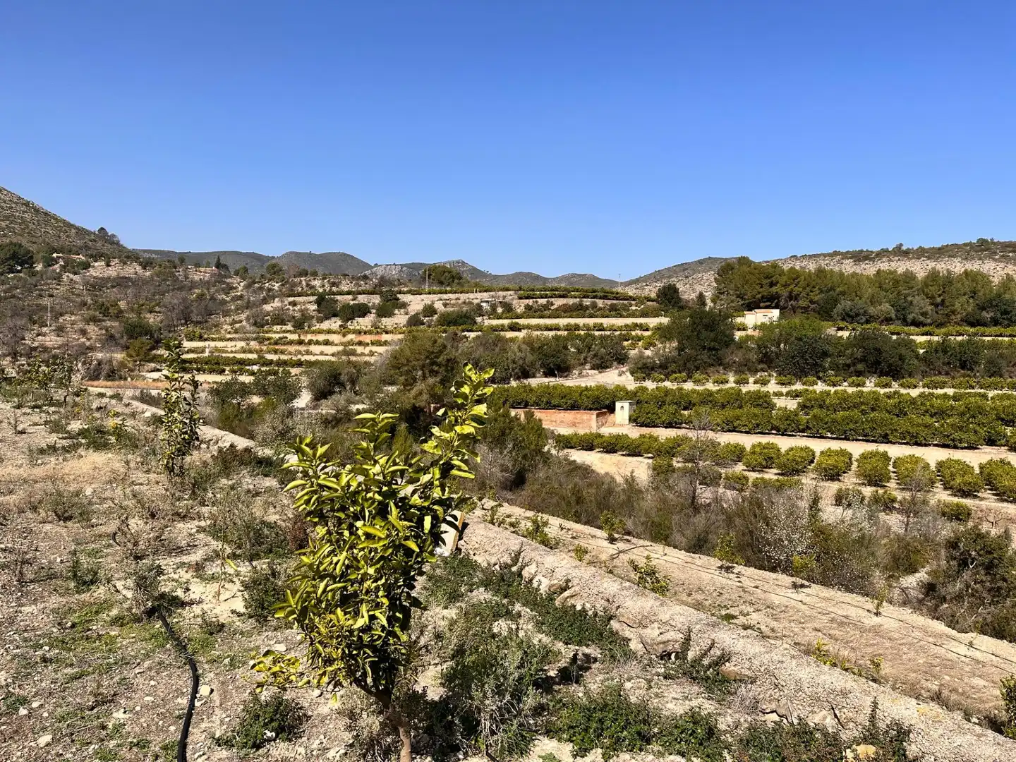 Residencial en venta en L'Atzúbia