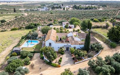 Jardí de Finca rústica en venda en Alcalá de Guadaira amb Terrassa, Piscina i Balcó