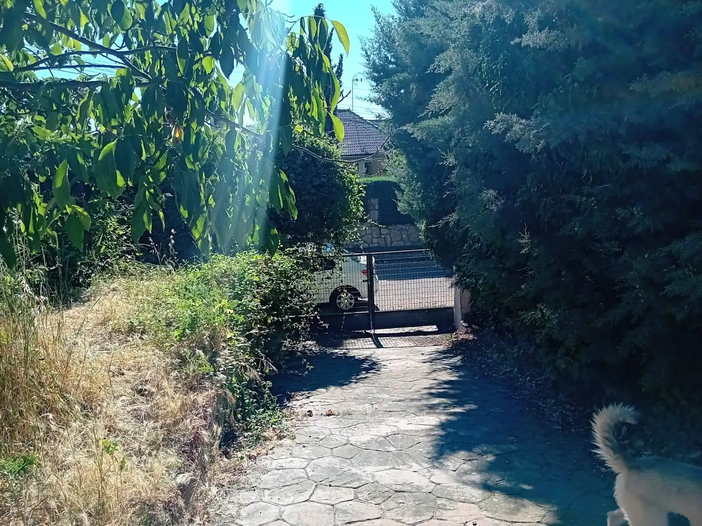 Villa con terrazza in vendita a Pedrezuela, imagen 47