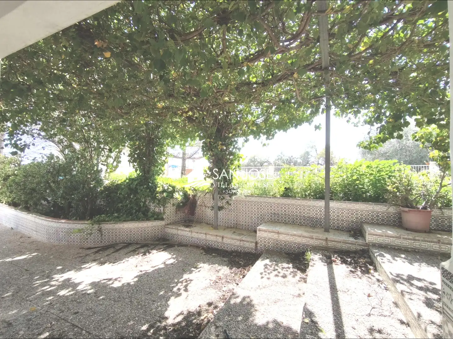Jardín de Casa o chalet en venta en Aspe con Terraza, Trastero y Piscina
