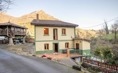 Vista exterior de Casa o xalet en venda en Mieres (Asturias) amb Calefacció, Traster i Moblat