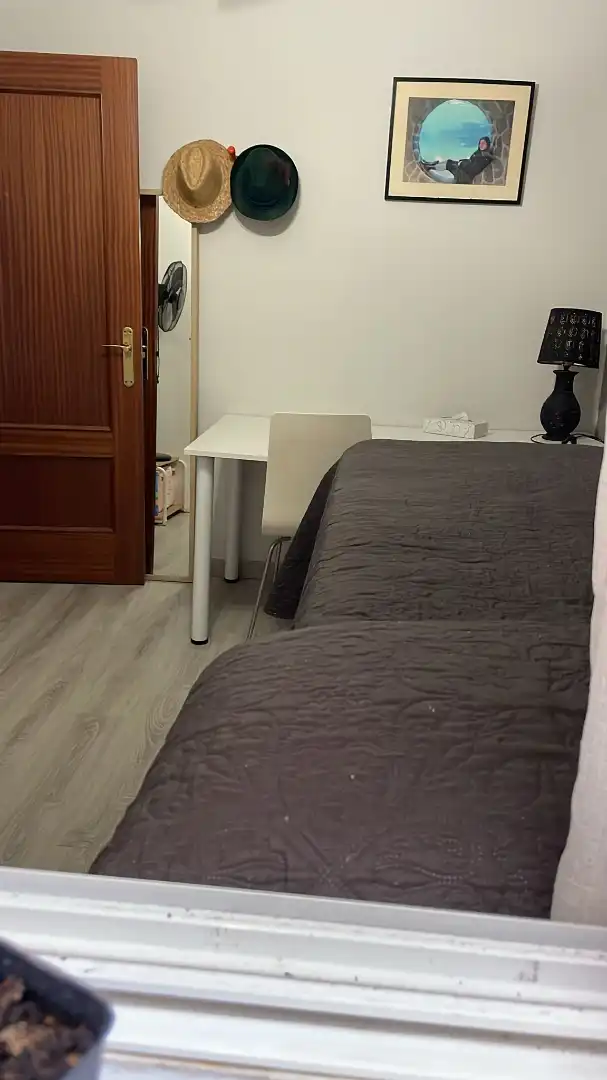 Wohnung mit Terrasse zur Miete in Avenida Pedro Muñoz Seca, imagen 29