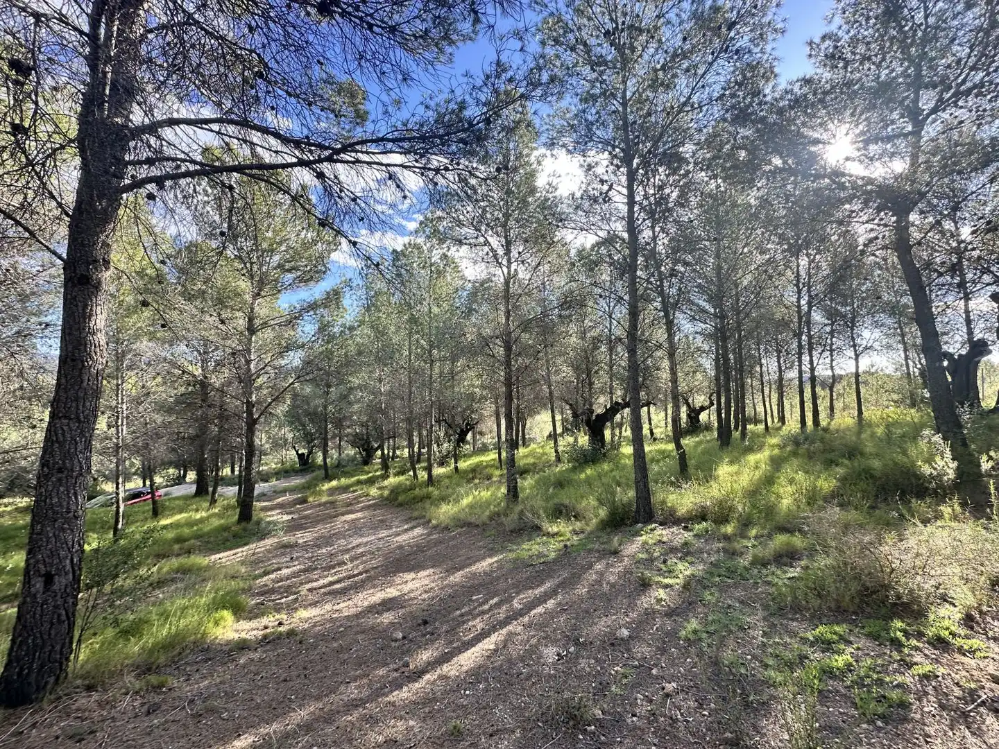 Terreny residencial en venda a Estivella, imagen 10