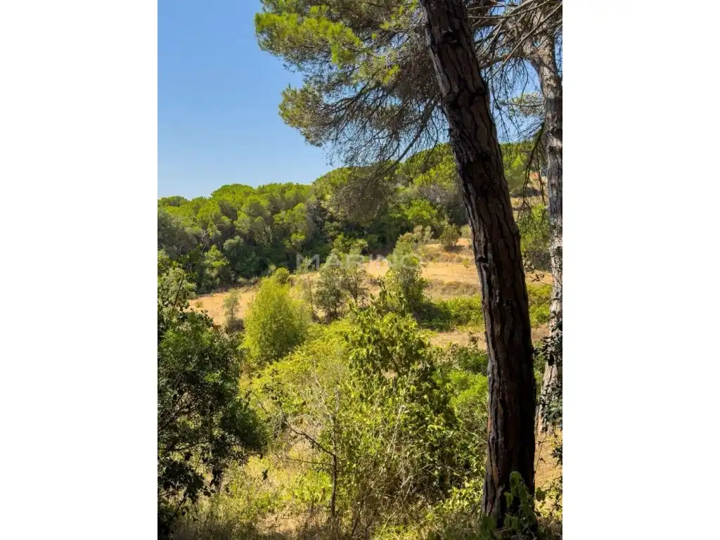 Finca rústica en venda en Tordera amb Jardí privat i Terrassa