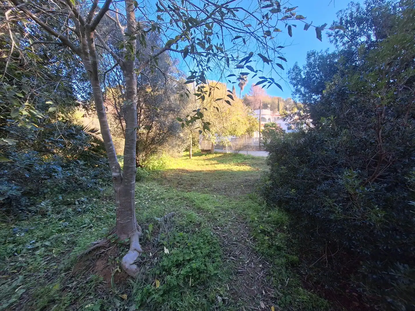 Terreny residencial en venda a El Montgó, imagen 34