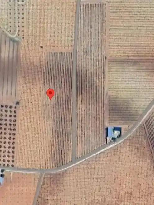 Casa rústica en venda a Valdepeñas, imagen 4