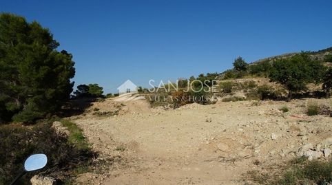 SE VENDE TERRENO RUSTICO AL PIE DE LA MONTAÑA EN HONDON DE LAS NIEVES, imatge 3