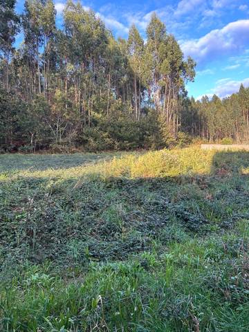 Casa-chalet en Venta en Lugar Eirexe en Boqueixón