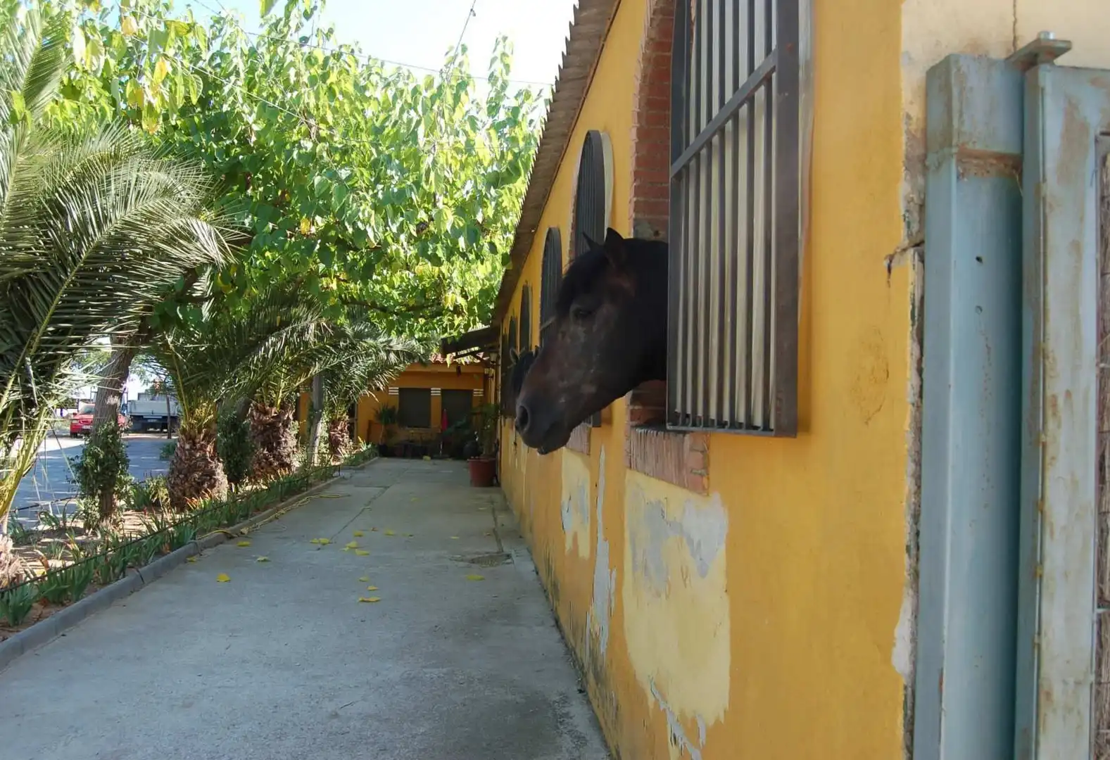 Vista exterior de Finca rústica en venta en Vilanova i la Geltrú con Aire acondicionado, Calefacción y Trastero