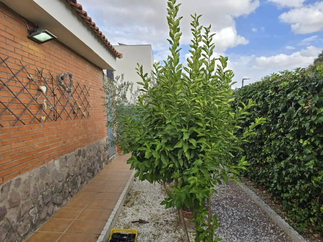Villa con giardino in vendita a Pioz, imagen 15