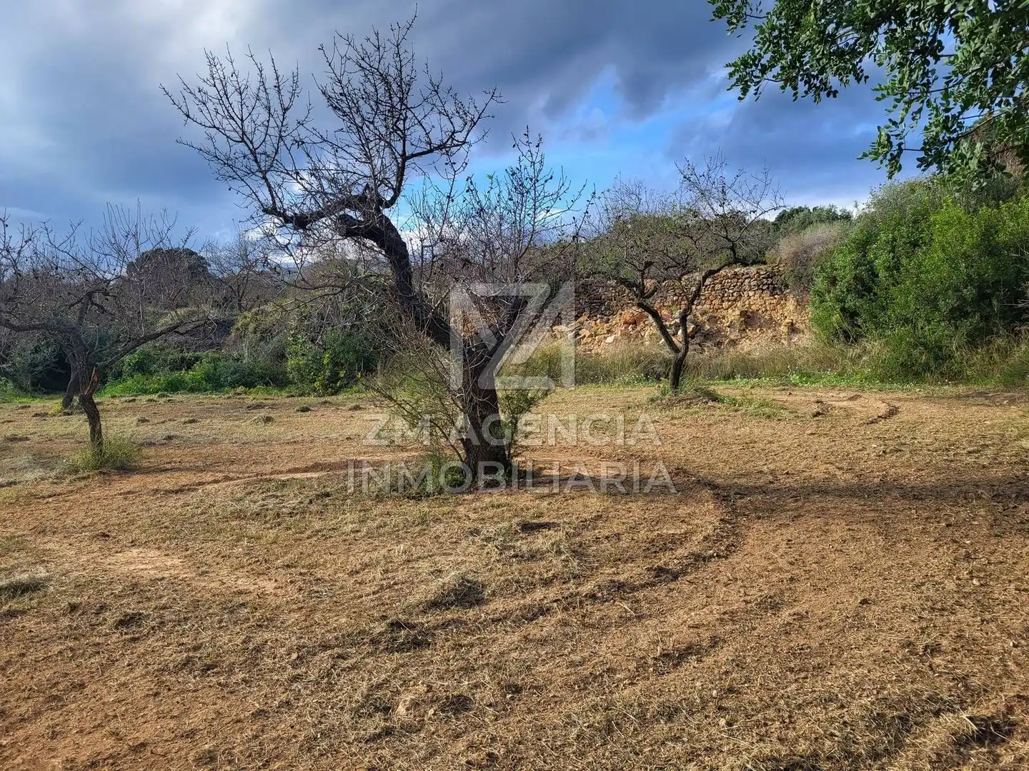Terreno rustico in vendita a Traiguera, imagen 11
