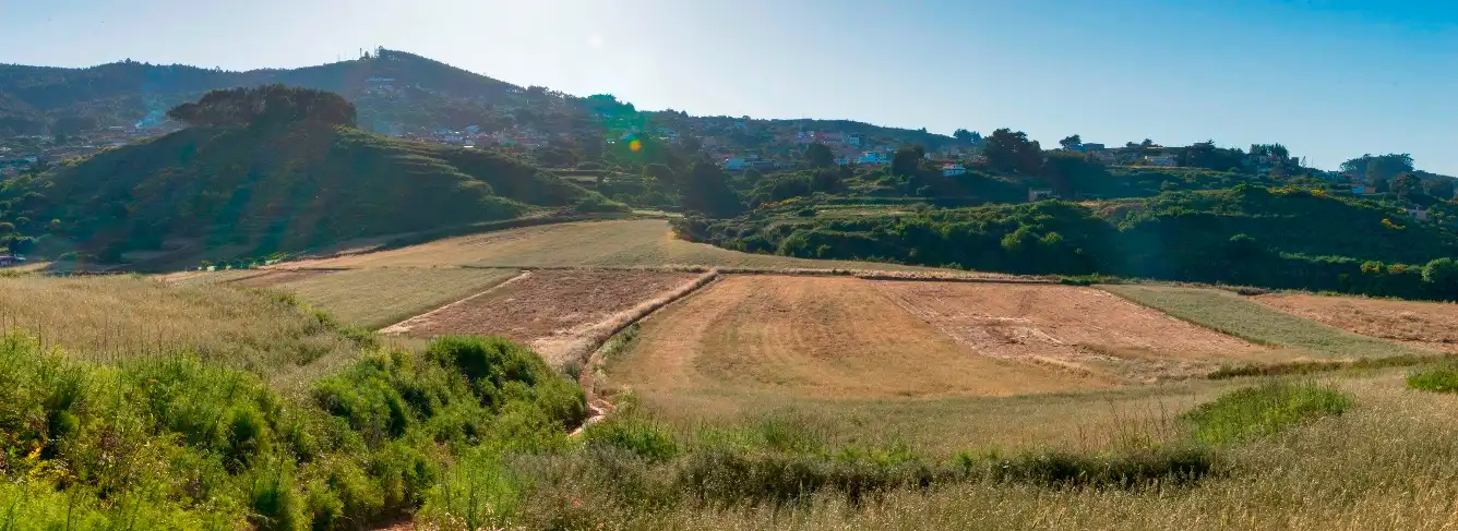 Terreno en venta en Camino Las Lagunetas, 1, La Esperanza - Llano del Moro