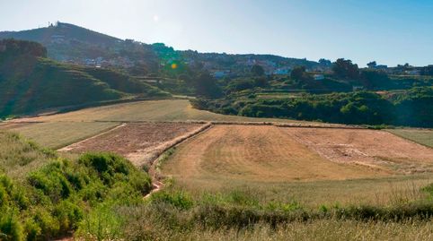 Foto 2 de Terreno en venta en Camino las Lagunetas, 1, La Esperanza - Llano del Moro, El Rosario