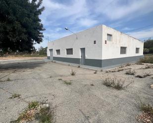 Exterior view of Industrial buildings to rent in Elche / Elx