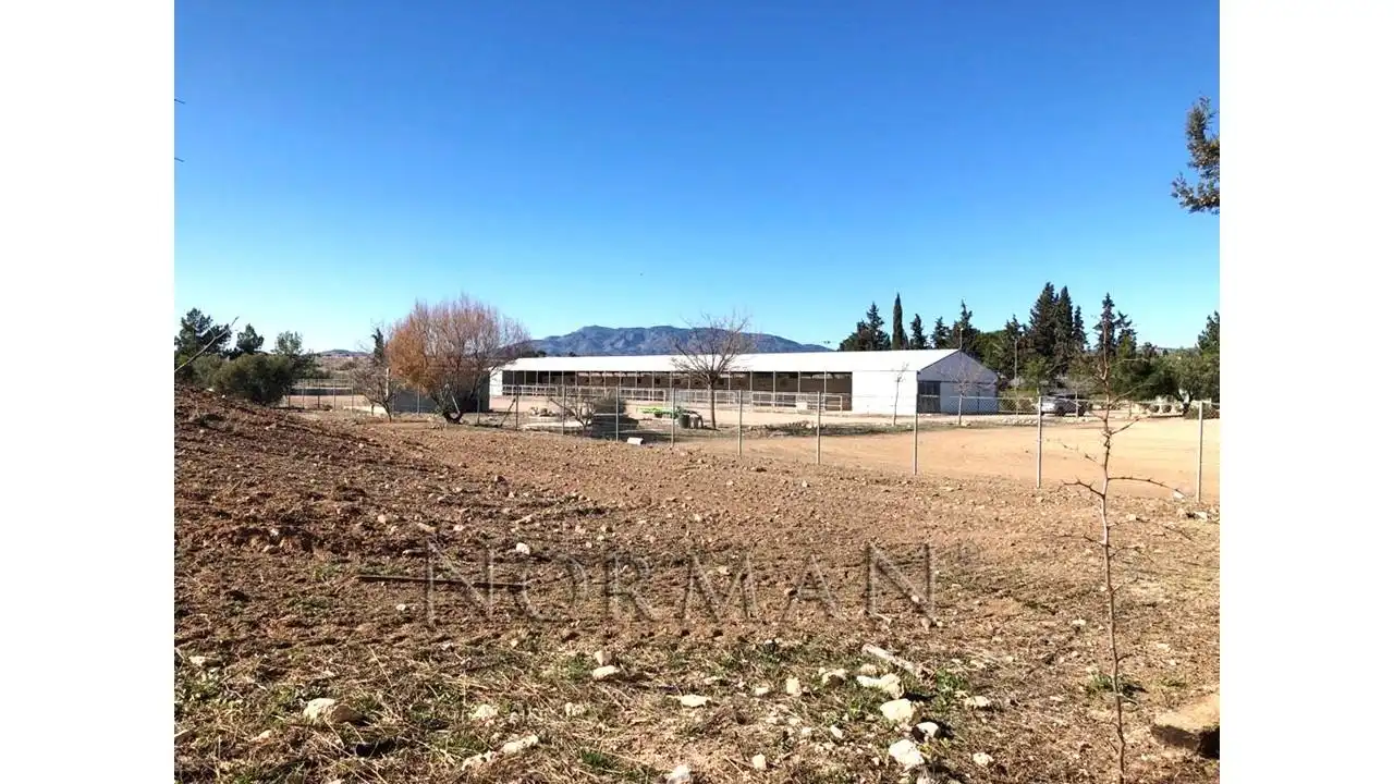 Vista exterior de Terreny en venda en Murcia