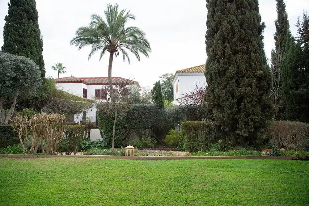 Jardín de Casa o chalet en venta en Bormujos con Aire acondicionado, Calefacción y Jardín privado