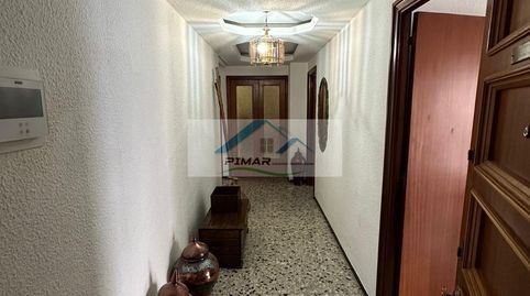 ElcheElxPiso, imagen 2