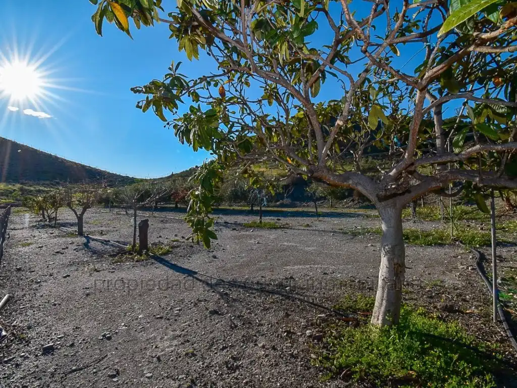 Casa amb piscina en venda a Tébar - Los Arejos, imagen 4