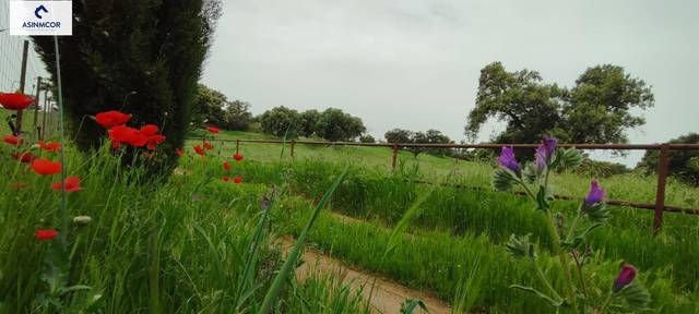 Terreno residencial en Venta en El Viso