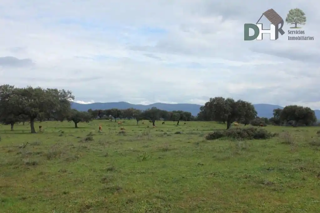 Terreni e lotti in vendita a Valdesalor - Rincón de Ballesteros, imagen 5