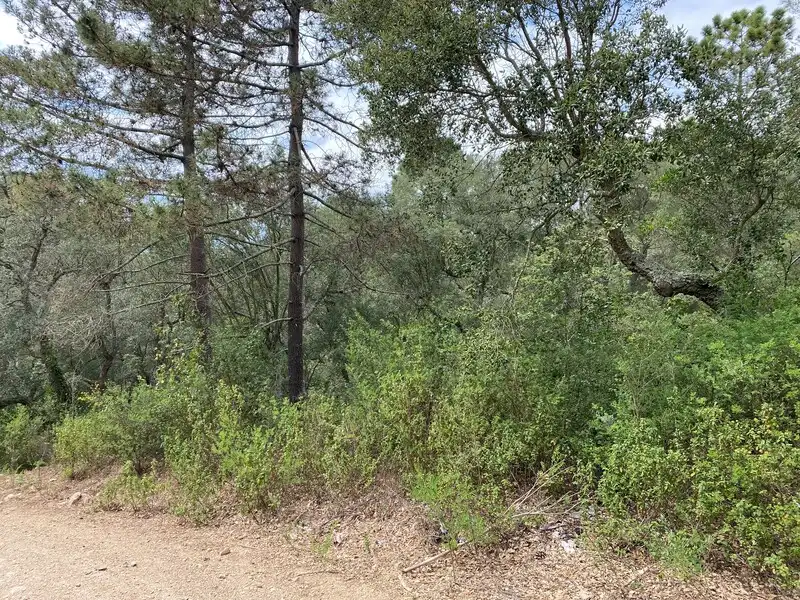 Terreny rústic en venda a Nou Carrer, POLIGONO 1, imagen 2