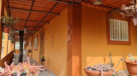 Photo 3 of Country house for sale in Vega de San Mateo, Las Palmas